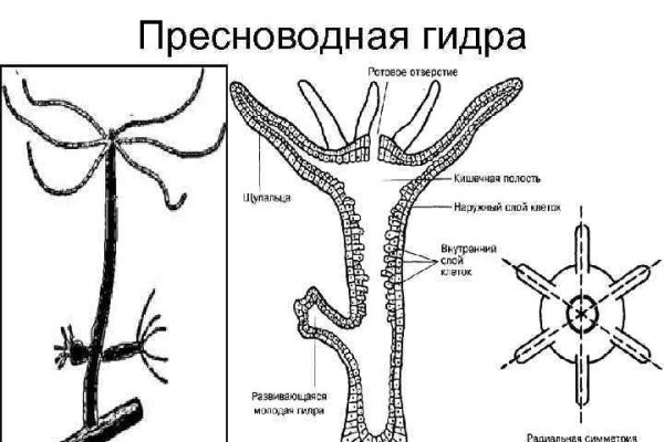 Сайт кракен закрыли