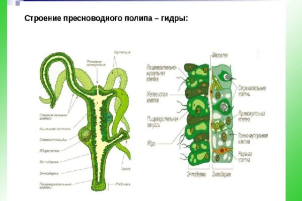 Kraken зеркало даркнет