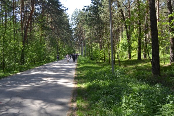 Проблемы со входом на кракен