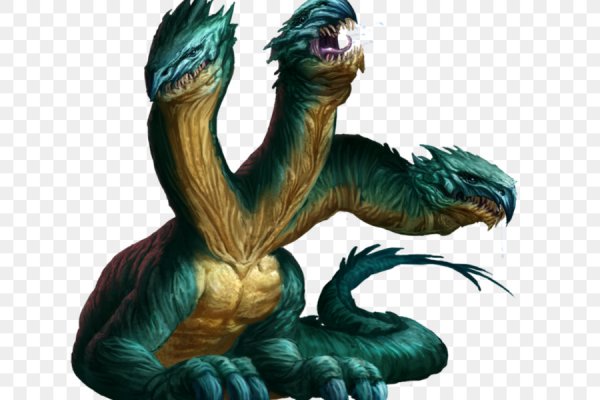 Kraken найдется все